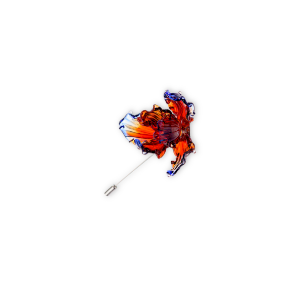 Iris - Image 2