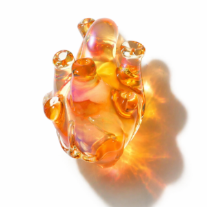 Anatomical Heart Necklace — Apricot Lumen