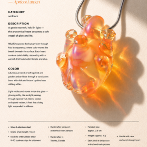 Anatomical Heart Necklace — Apricot Lumen