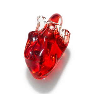 Anatomical Heart Necklace — Cardinal Pulse