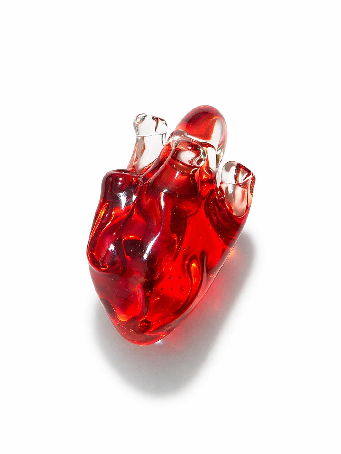 Anatomical Heart Necklace — Cardinal Pulse - Image 2