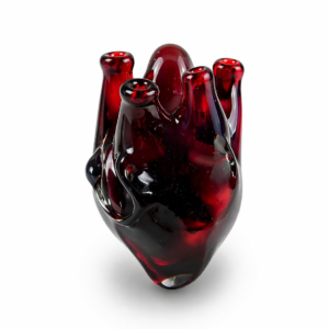 Anatomical Heart Necklace — Crimson Obsidian