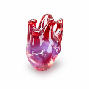Anatomical Heart Necklace — Crimson Veil