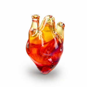 Anatomical Heart Necklace — Ember Vein