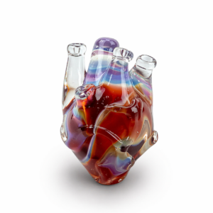 Anatomical Heart Necklace — Lunar Ember