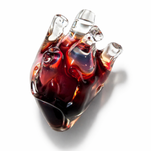 Anatomical Heart Necklace — Veiled Pulse
